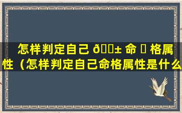 怎样判定自己 🐱 命 ☘ 格属性（怎样判定自己命格属性是什么）